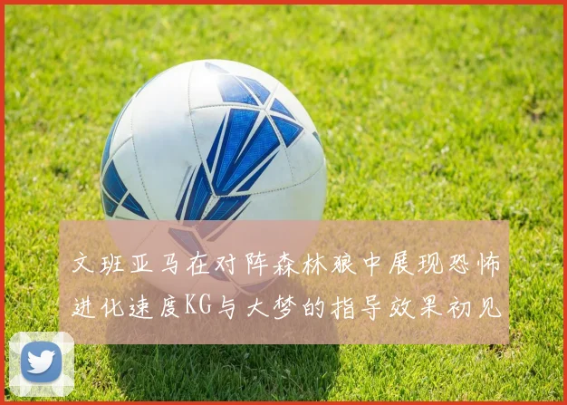 文班亚马在对阵森林狼中展现恐怖进化速度KG与大梦的指导效果初见成效
